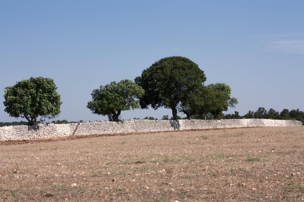דירות נוצ'י Trulli Sarmenzanello חדר תמונה