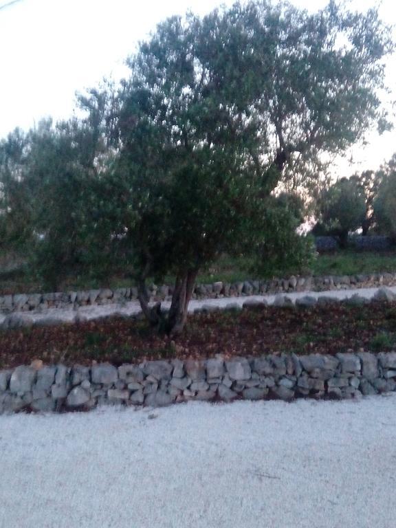 דירות נוצ'י Trulli Sarmenzanello מראה חיצוני תמונה
